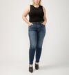 Isbister High Rise Straight Leg Jeans Plus Size, , hi-res image number 0