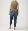 Girlfriend Mid Rise Skinny Leg Jeans Plus Size, , hi-res image number 1