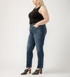 Isbister High Rise Straight Leg Jeans Plus Size, , hi-res image number 2