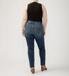 Isbister High Rise Straight Leg Jeans Plus Size, , hi-res image number 1