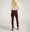 Isbister High Rise Skinny Leg Jeans, Bordeaux, hi-res image number 1